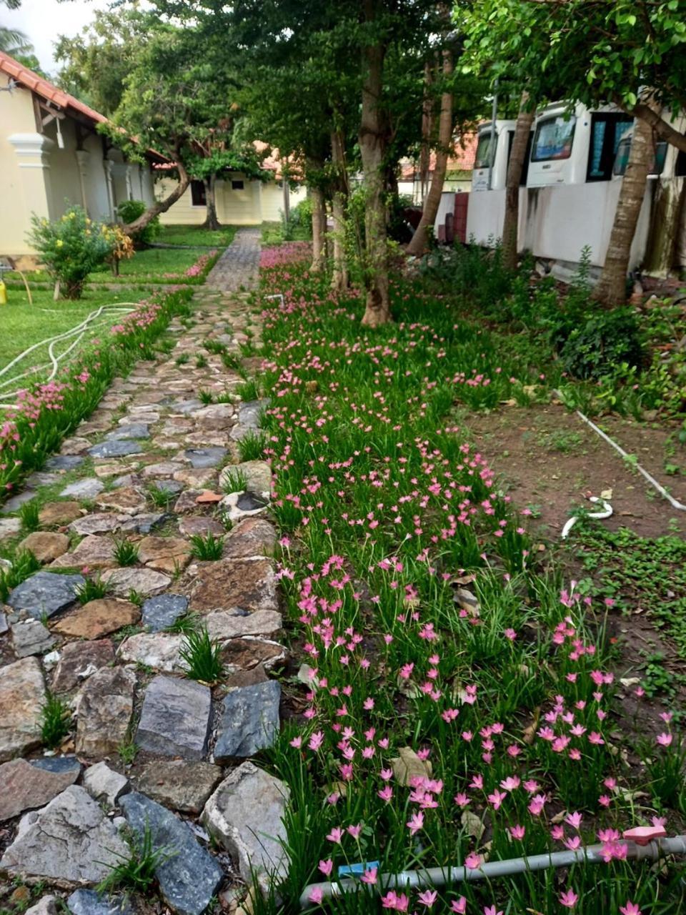 Sai Gon Con Dao Resort 외부 사진